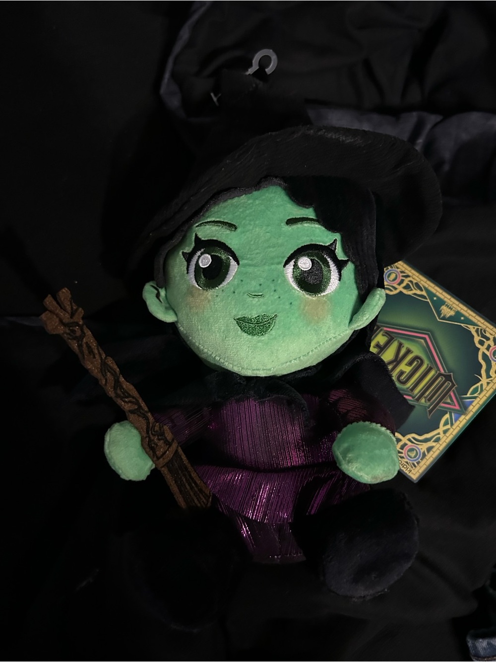 Wicked: Green Witch Plush Doll - Soft Green and Purple Magical Stuffed Toy